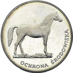 100 zł Koń 1981